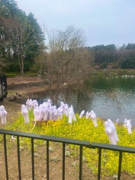 ムーミンバレーパークに投稿された画像（2025/3/27）