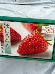 山万ユーカリファームに投稿された画像（2025/3/27）