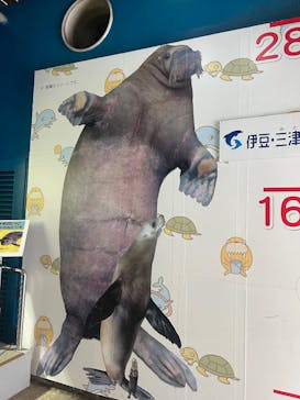 伊豆・三津シーパラダイスに投稿された画像（2025/3/27）