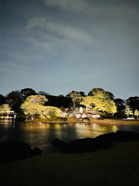 六義園に投稿された画像（2025/3/27）