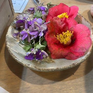 たからの窯に投稿された画像（2025/3/27）