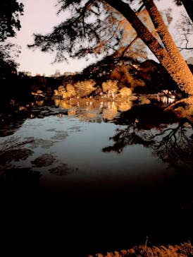 六義園に投稿された画像（2025/3/27）