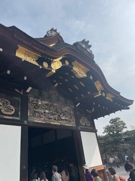 元離宮二条城に投稿された画像（2025/3/27）