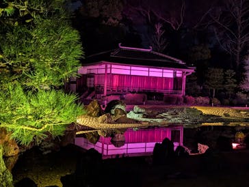 NAKED meets 二条城 2025 観月に投稿された画像（2025/3/27）