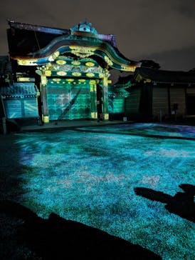 NAKED meets 二条城 2025 観月に投稿された画像（2025/3/27）