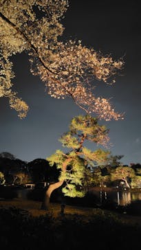 六義園に投稿された画像（2025/3/27）