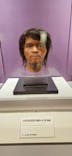 特別展「古代DNA－日本人のきた道」（国立科学博物館）に投稿された画像（2025/3/27）