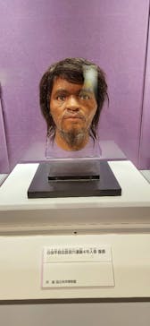特別展「古代DNA－日本人のきた道」（国立科学博物館）に投稿された画像（2025/3/27）