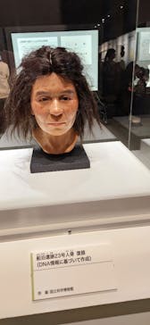 特別展「古代DNA－日本人のきた道」（国立科学博物館）に投稿された画像（2025/3/27）