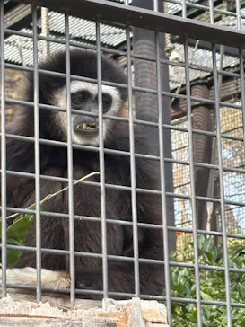 多摩動物公園に投稿された画像（2025/3/27）