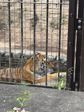 多摩動物公園に投稿された画像（2025/3/27）