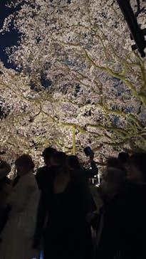 六義園に投稿された画像（2025/3/27）