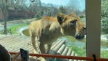 東京動物園協会_多摩動物公園に投稿された画像（2025/3/27）