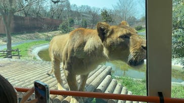 東京動物園協会_多摩動物公園に投稿された画像（2025/3/27）