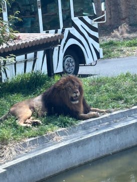 東京動物園協会_多摩動物公園に投稿された画像（2025/3/27）