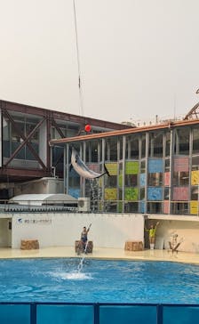 伊豆・三津シーパラダイスに投稿された画像（2025/3/27）