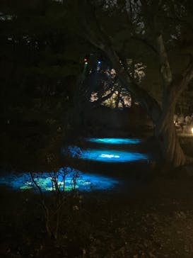 六義園に投稿された画像（2025/3/27）