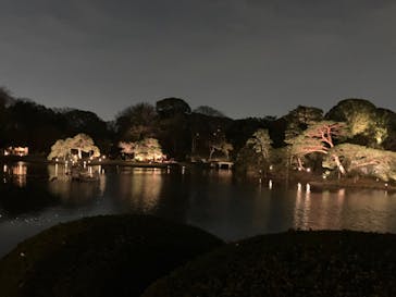 六義園に投稿された画像（2025/3/27）