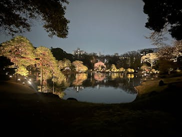 六義園に投稿された画像（2025/3/27）