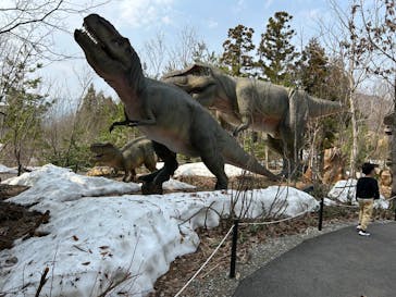 福井県立恐竜博物館に投稿された画像（2025/3/27）