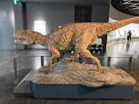 福井県立恐竜博物館に投稿された画像（2025/3/27）