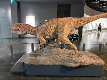 福井県立恐竜博物館に投稿された画像（2025/3/27）