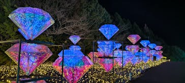 伊豆高原グランイルミに投稿された画像（2025/3/27）
