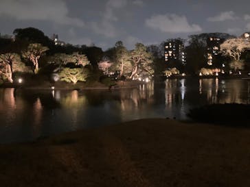 六義園に投稿された画像（2025/3/27）