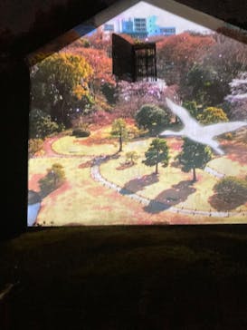 六義園に投稿された画像（2025/3/27）