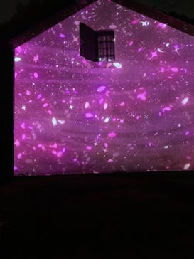 六義園に投稿された画像（2025/3/27）