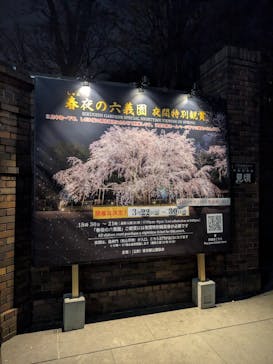 六義園に投稿された画像（2025/3/27）