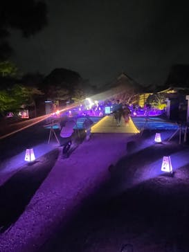 NAKED meets 二条城 2025 観月に投稿された画像（2025/3/27）