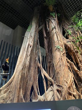 国立科学博物館に投稿された画像（2025/3/27）