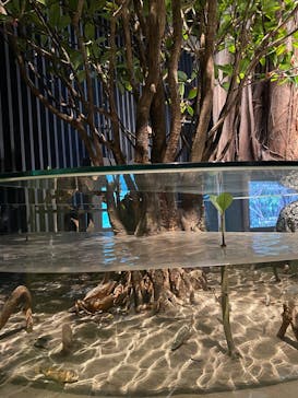 国立科学博物館に投稿された画像（2025/3/27）