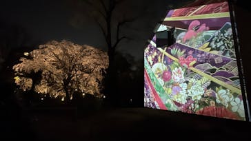 六義園に投稿された画像（2025/3/27）