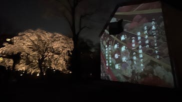 六義園に投稿された画像（2025/3/27）