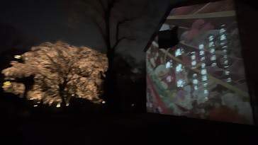 六義園に投稿された画像（2025/3/27）