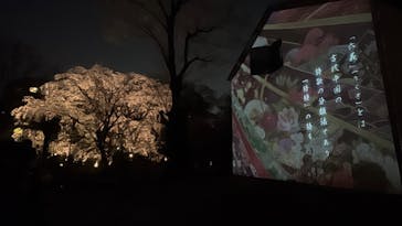 六義園に投稿された画像（2025/3/27）