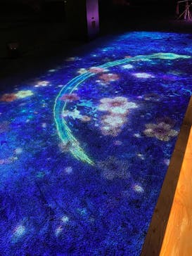 NAKED meets 二条城 2025 観月に投稿された画像（2025/3/27）