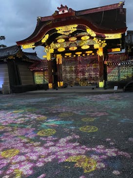 NAKED meets 二条城 2025 観月に投稿された画像（2025/3/27）