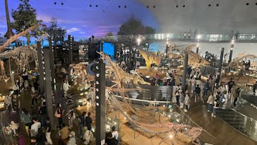 福井県立恐竜博物館に投稿された画像（2025/3/27）