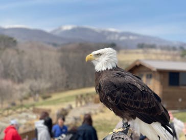那須どうぶつ王国に投稿された画像（2025/3/27）