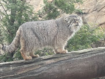 那須どうぶつ王国に投稿された画像（2025/3/27）