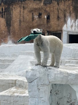天王寺動物園に投稿された画像（2025/3/27）