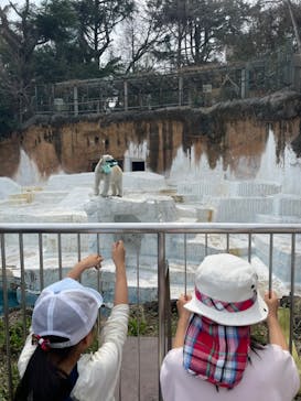 天王寺動物園に投稿された画像（2025/3/27）
