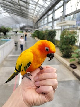 掛川花鳥園に投稿された画像（2025/3/28）