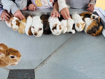 あらかわ遊園に投稿された画像（2025/3/28）