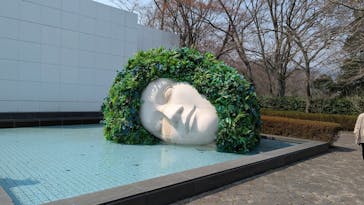 彫刻の森美術館に投稿された画像（2025/3/28）
