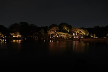 六義園に投稿された画像（2025/3/28）