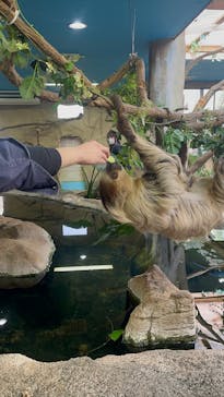 那須どうぶつ王国に投稿された画像（2025/3/28）